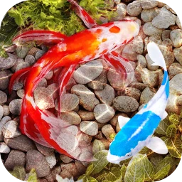 Icono de 3D Fish Tank Live Wallpaper